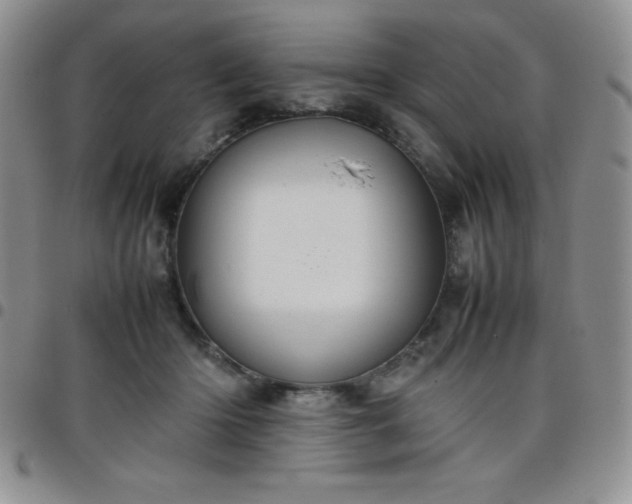 X0000099230414200805011141