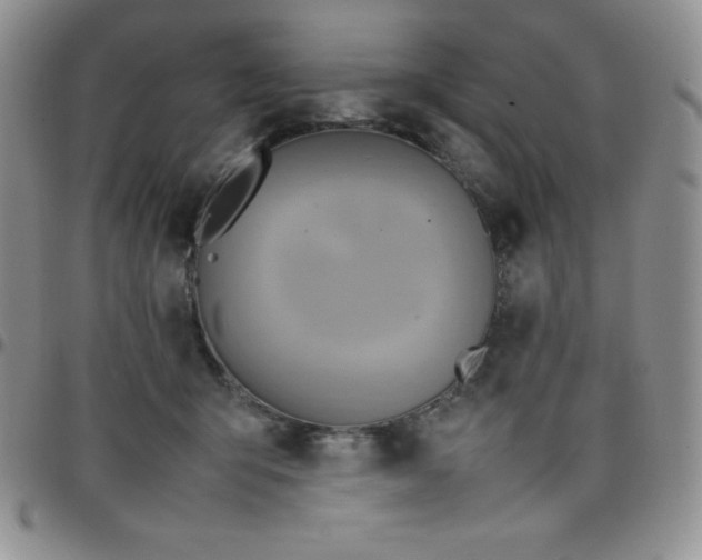 X0000099230415200805011141