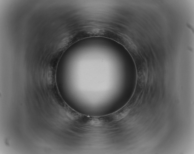 X0000099230416200805011141