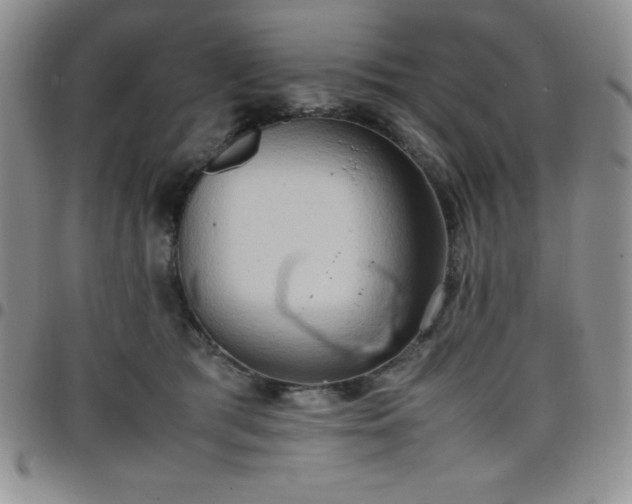 X0000099230417200805011141