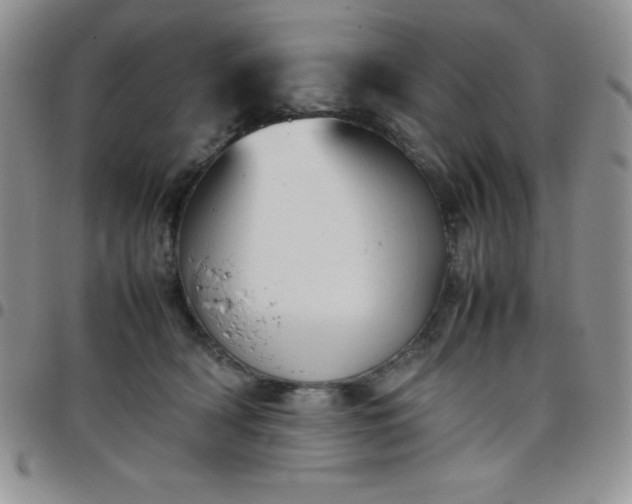 X0000099230418200805011141