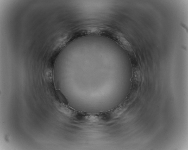 X0000099230419200805011141