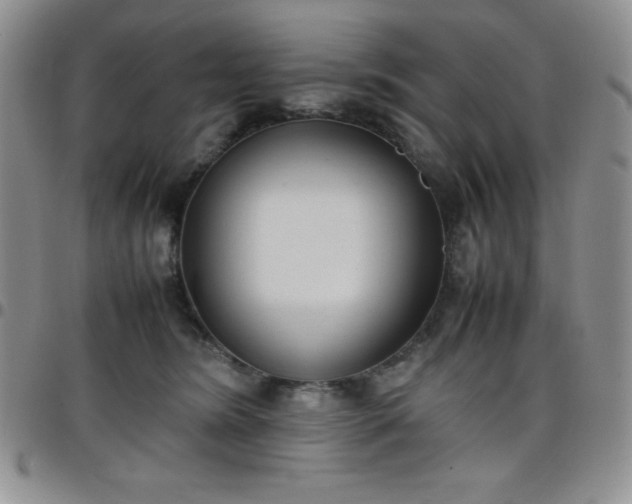 X0000099230420200805011141