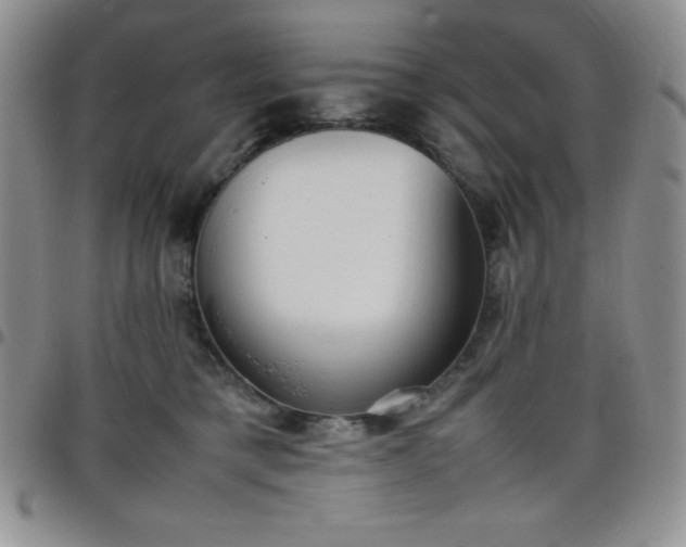 X0000099230421200805011141