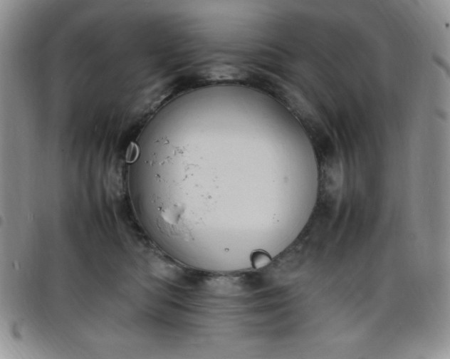 X0000099230422200805011141