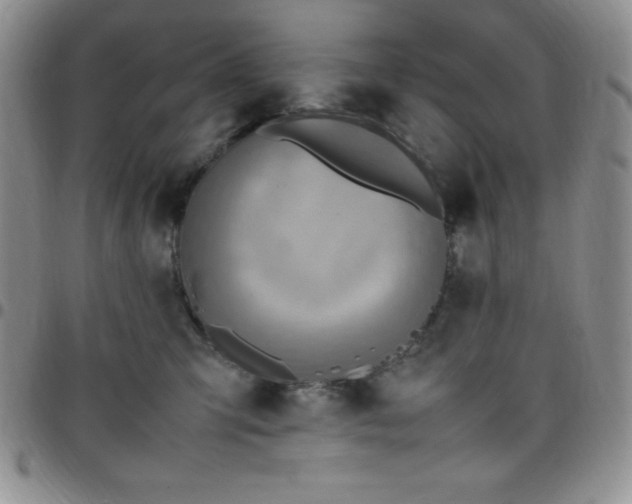 X0000099230423200805011141