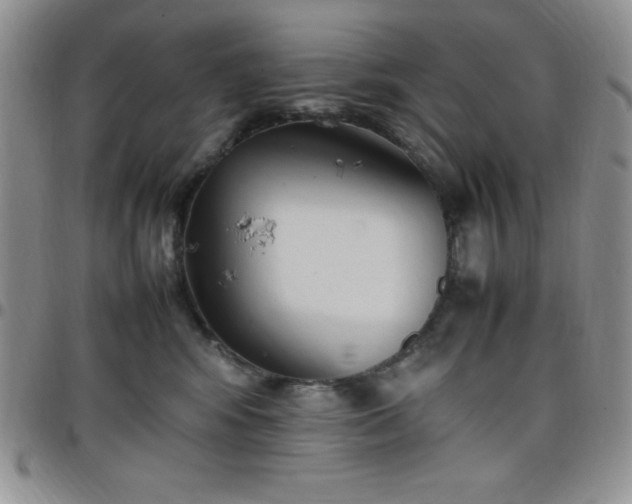 X0000099230424200805011141