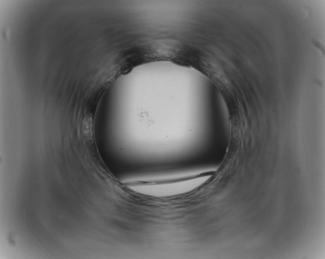 X0000099230425200805011141