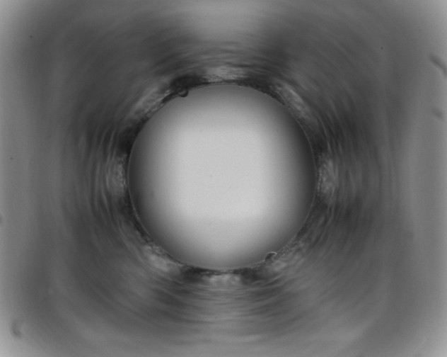 X0000099230426200805011141