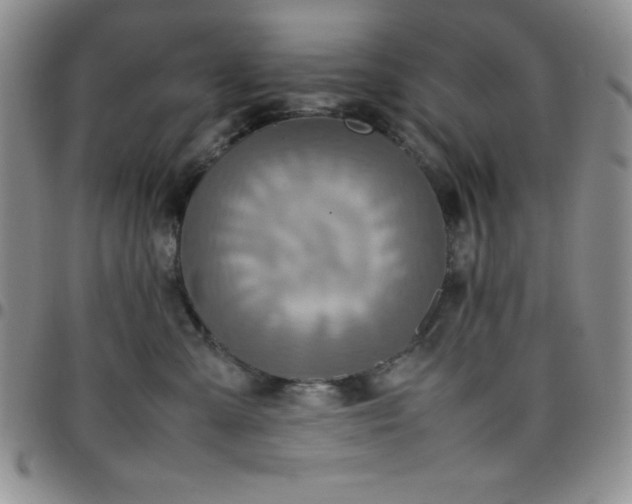 X0000099230427200805011141