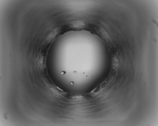 X0000099230428200805011141