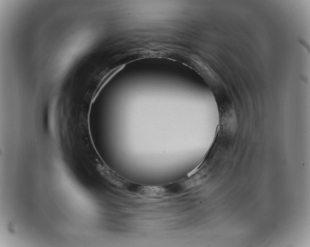 X0000099230429200805011140