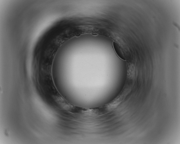 X0000099230430200805011140