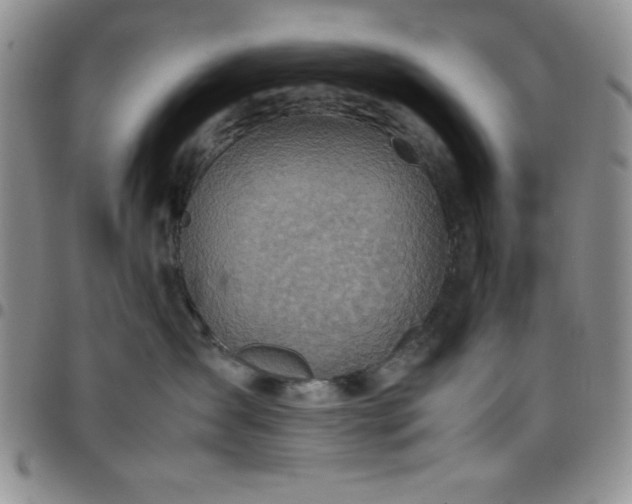 X0000099230431200805011140