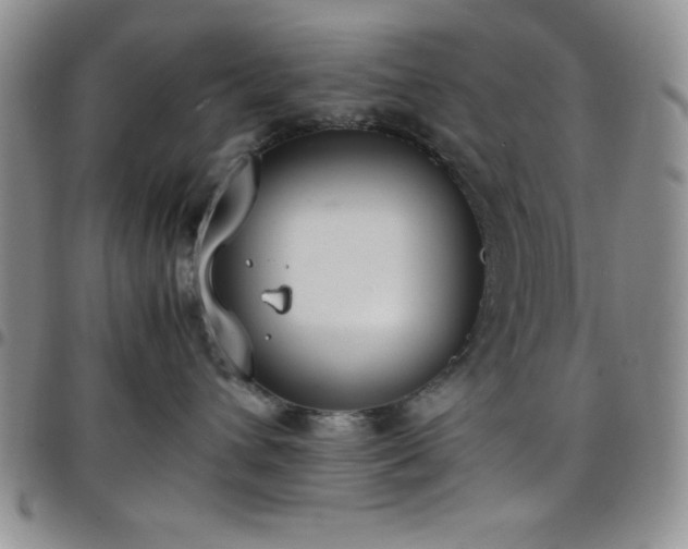 X0000099230432200805011140