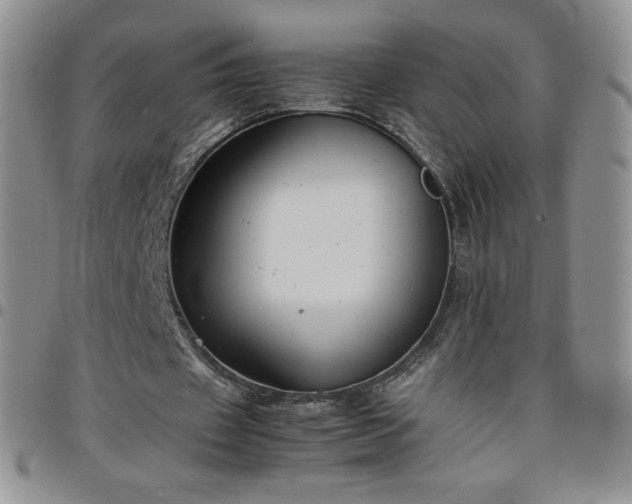 X0000099230433200805011140