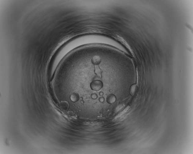 X0000099230435200805011140