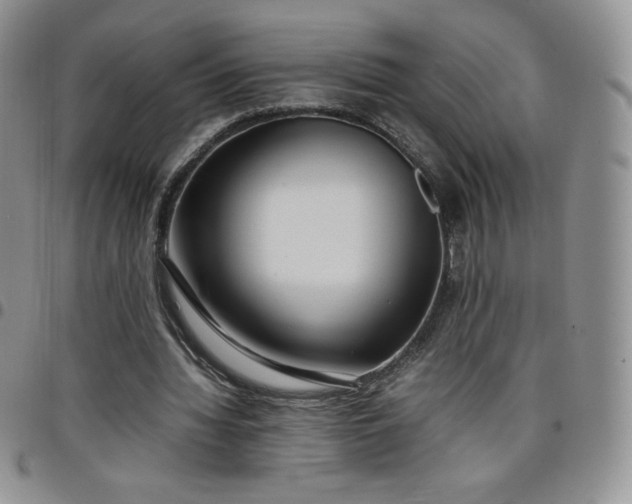 X0000099230436200805011140