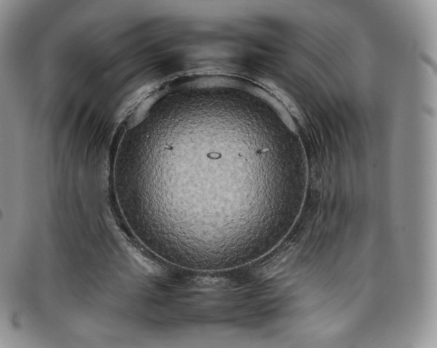 X0000099230437200805011140