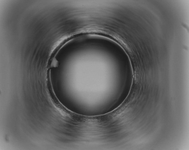 X0000099230438200805011140