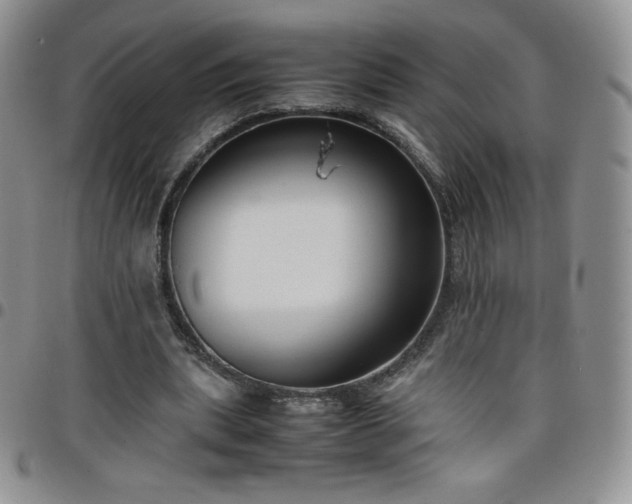 X0000099230439200805011140