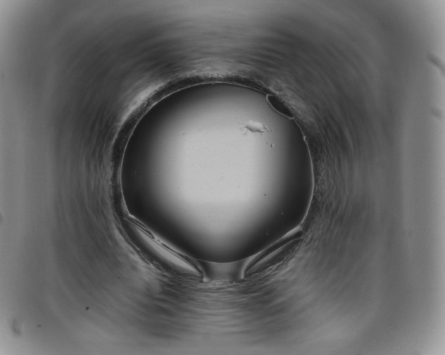 X0000099230440200805011140