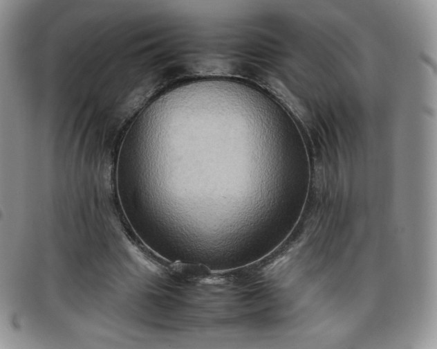 X0000099230441200805011140