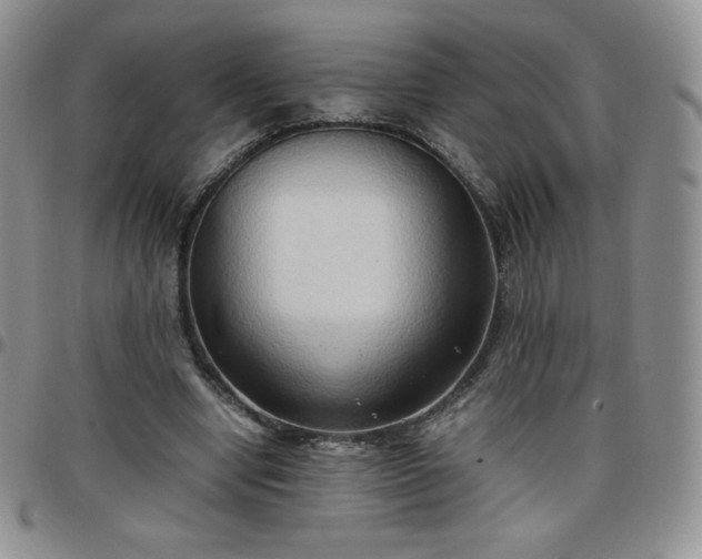 X0000099230442200805011140