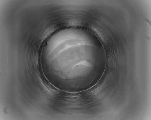 X0000099230443200805011140