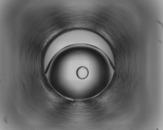 X0000099230444200805011140