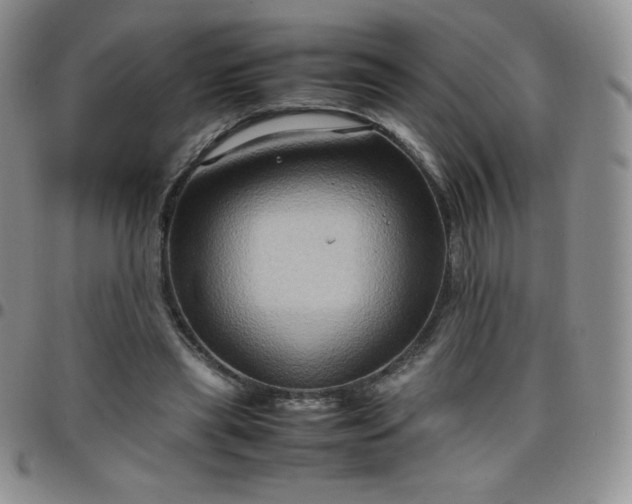 X0000099230445200805011140