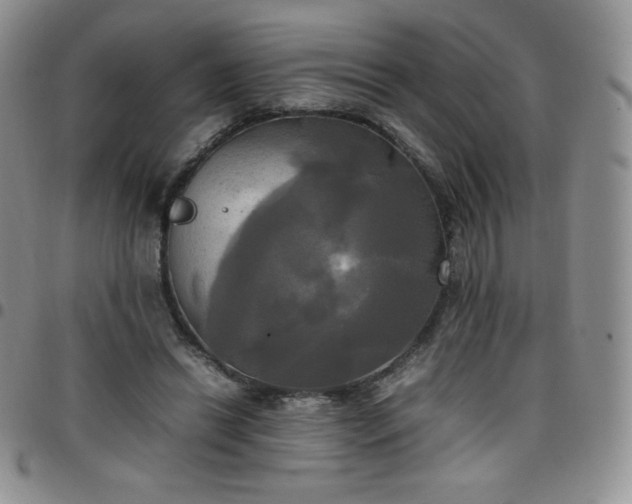 X0000099230446200805011140