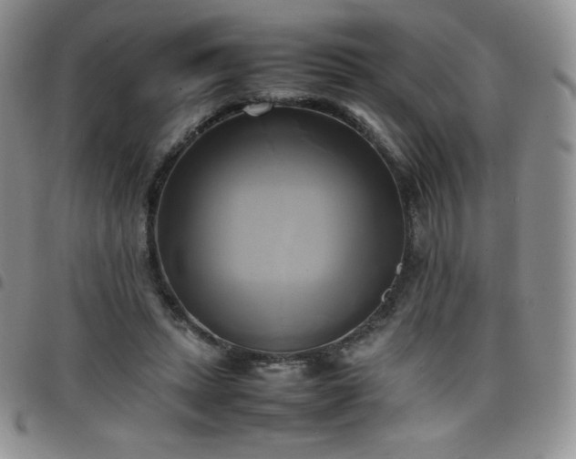 X0000099230447200805011140