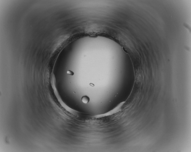 X0000099230448200805011140