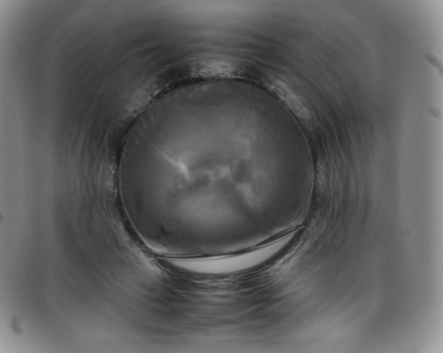 X0000099230449200805011140