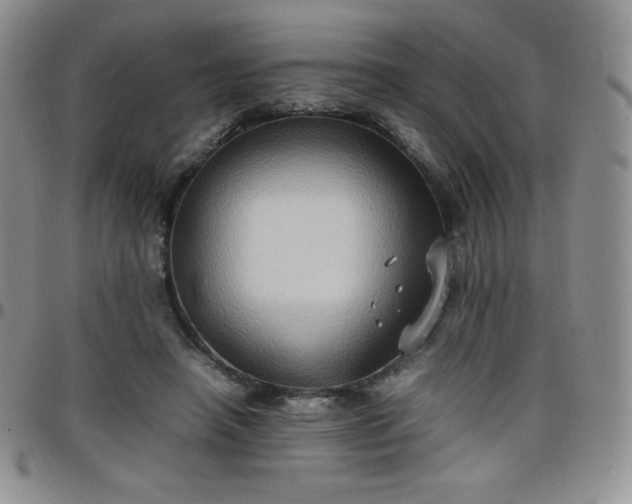 X0000099230450200805011140