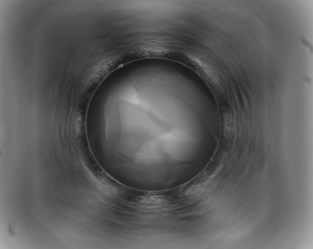 X0000099230451200805011140