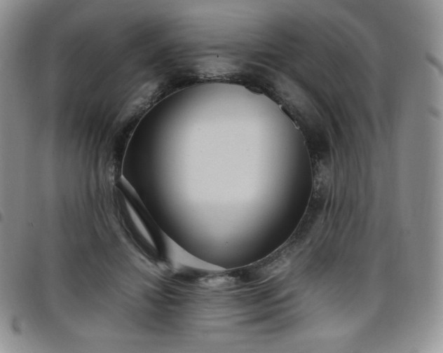 X0000099230452200805011140