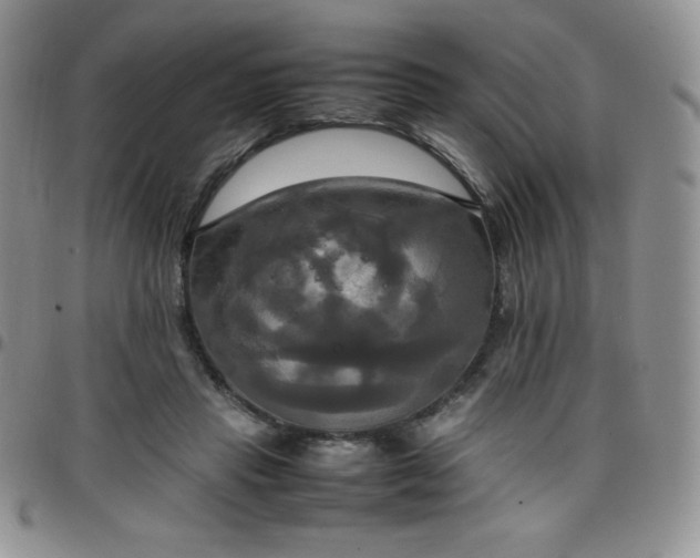 X0000099230453200805011140