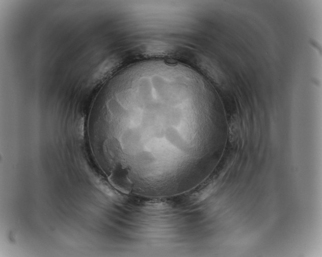 X0000099230454200805011140