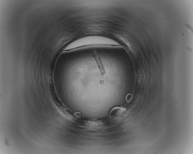 X0000099230455200805011140