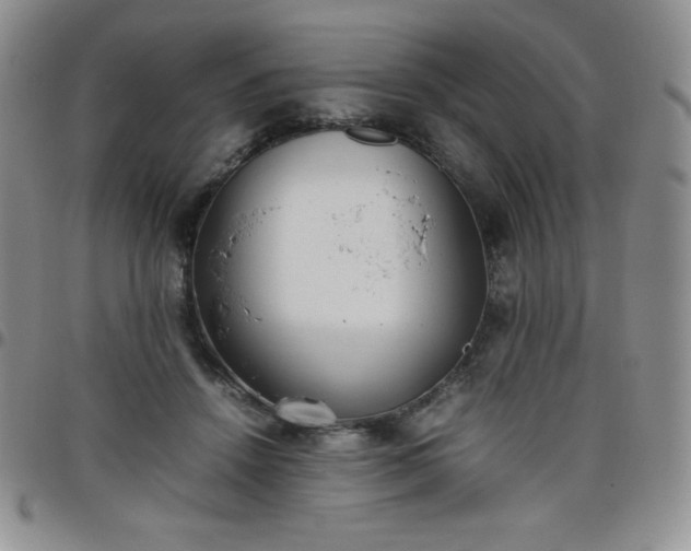 X0000099230456200805011140