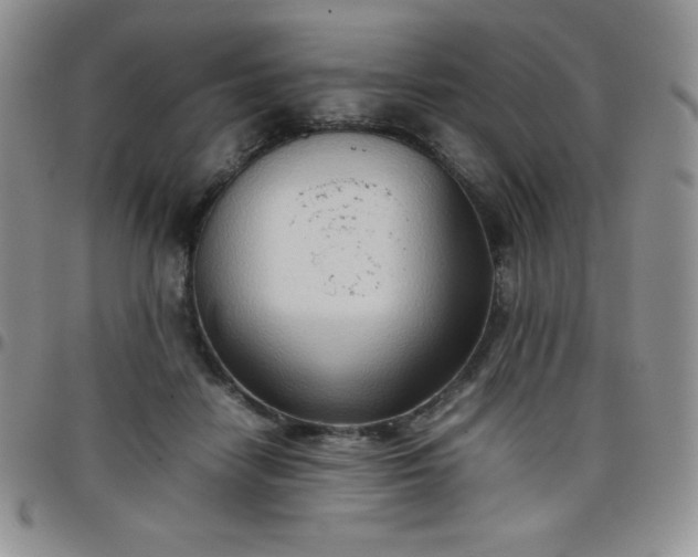 X0000099230458200805011140