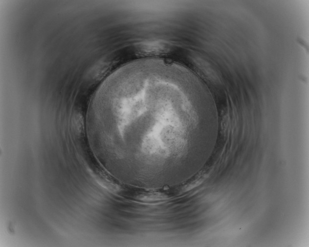 X0000099230459200805011140