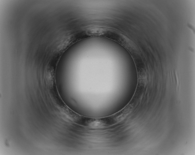 X0000099230460200805011140