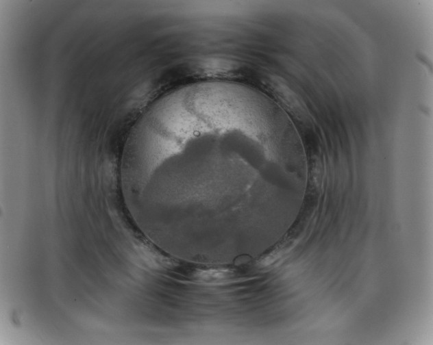 X0000099230461200805011140