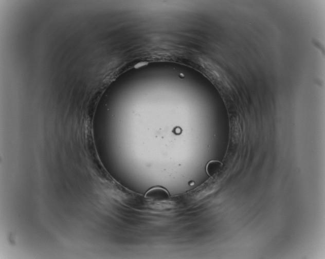 X0000099230463200805011140