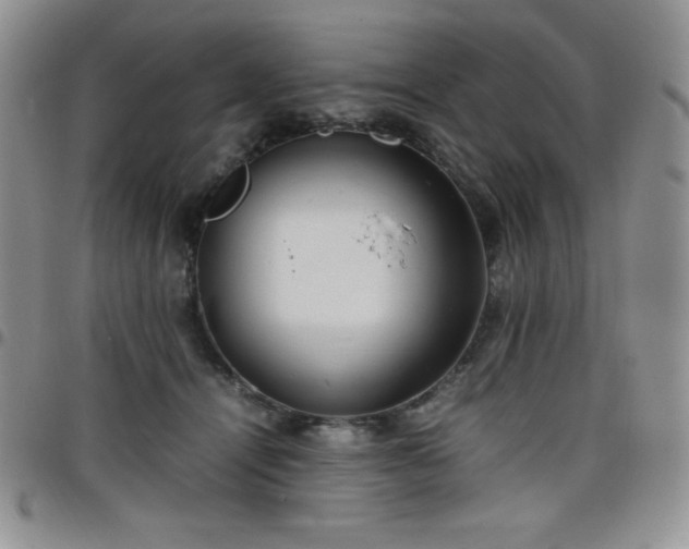 X0000099230464200805011140