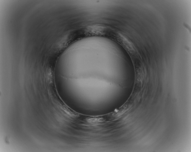 X0000099230465200805011140