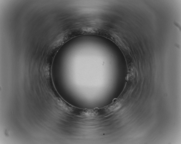 X0000099230466200805011140